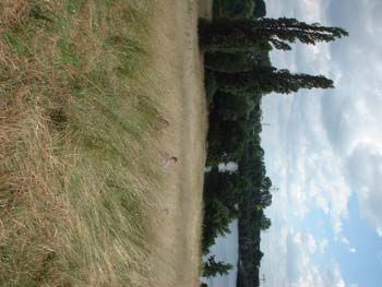 versteckt2